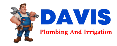 Trusted plumber in DRAIN